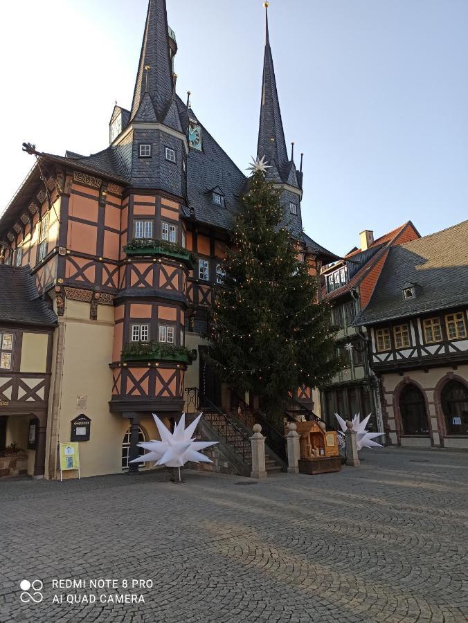 Behagliches Ferienhaus Zaunkoenig -Mit Kamin Und Sauna 탠 외부 사진